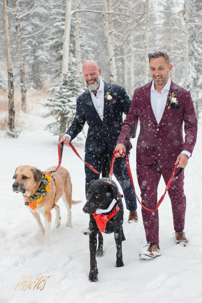Colorado grooms walking their dogs together in the snow.